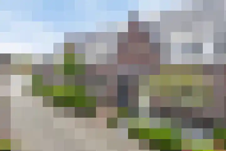 Schoolstraat 12 Strijen thumbnail 24