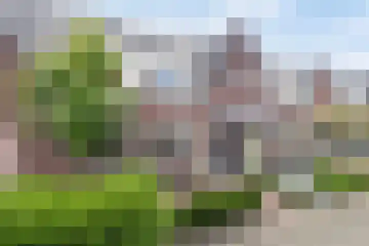 Schoolstraat 12 Strijen thumbnail 25