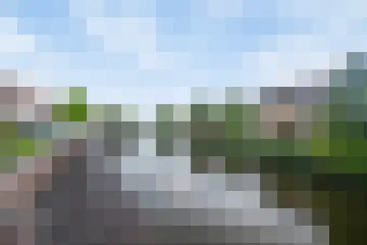Schoolstraat 12 Strijen thumbnail 27