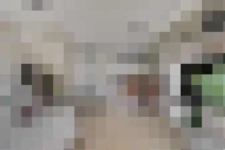 Schoolstraat 12 Strijen thumbnail 7