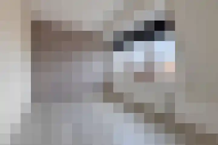 Schoolstraat 126 Strijen thumbnail 18