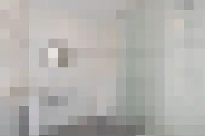 Schoolstraat 126 Strijen thumbnail 21