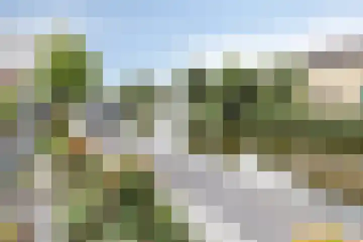 Schoolstraat 126 Strijen thumbnail 27