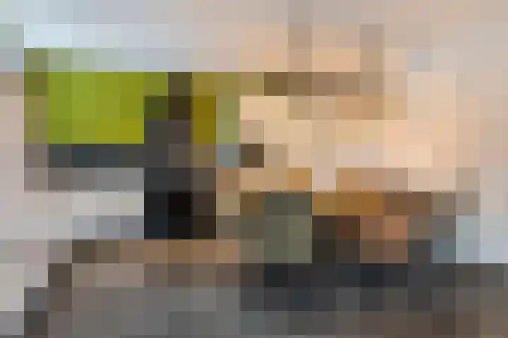 Schoolstraat 14 Nuland thumbnail 8