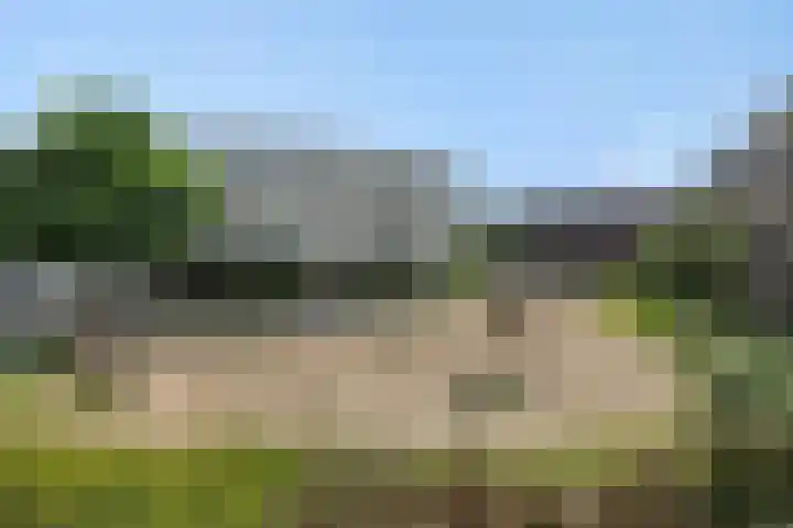 Schoolstraat 16 Berlicum thumbnail 10