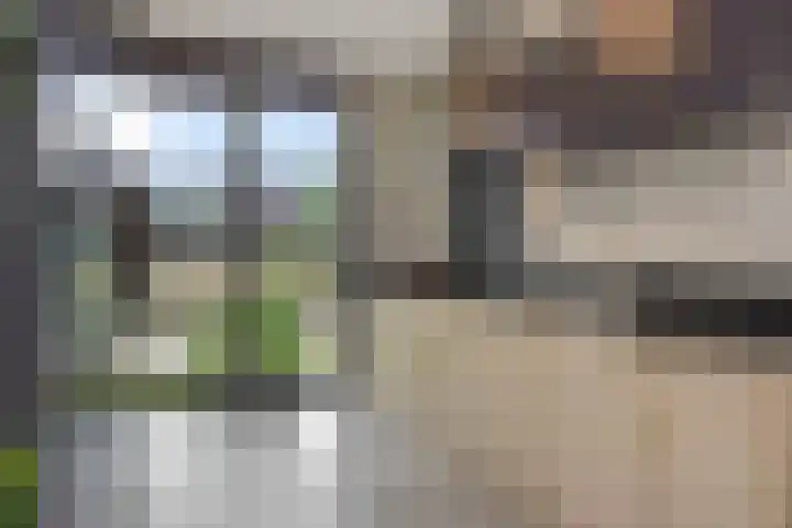 Schoolstraat 16 Berlicum thumbnail 23