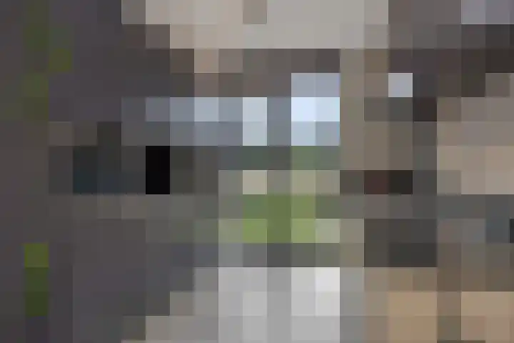 Schoolstraat 16 Berlicum thumbnail 4
