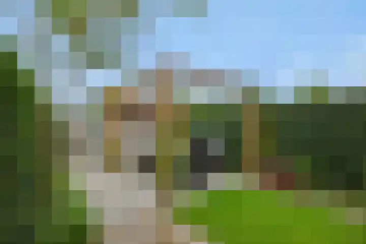 Schoolstraat 16 Berlicum thumbnail 41
