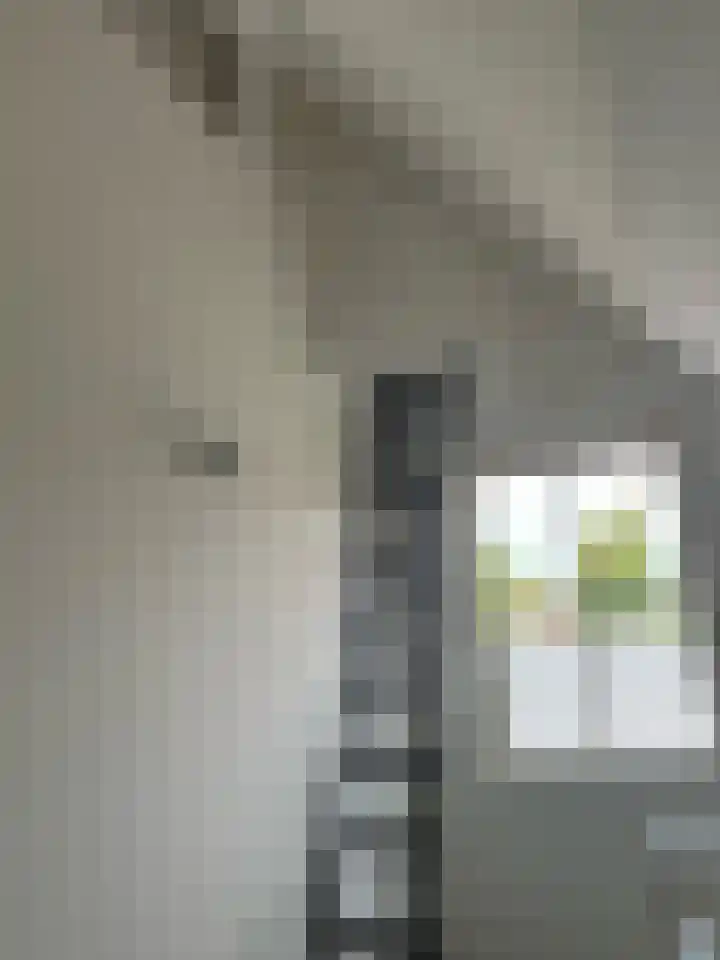 Schoolstraat 16 Eede thumbnail 17