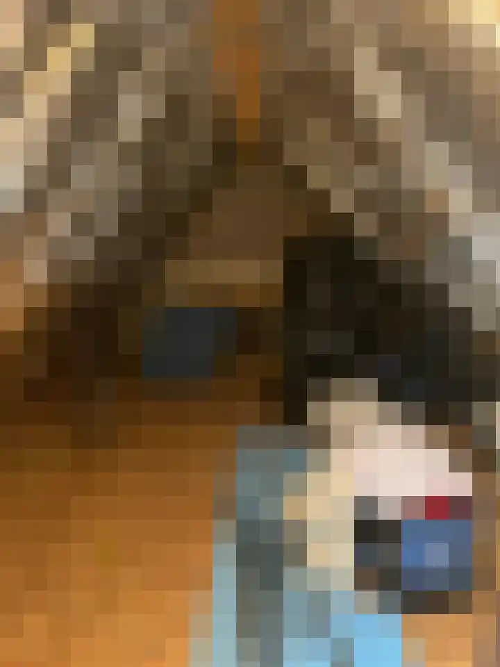 Schoolstraat 16 Eede thumbnail 23