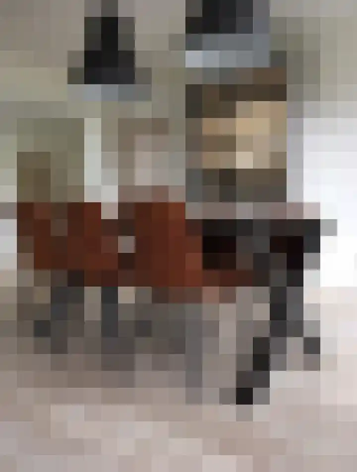 Schoolstraat 16 Eede thumbnail 7