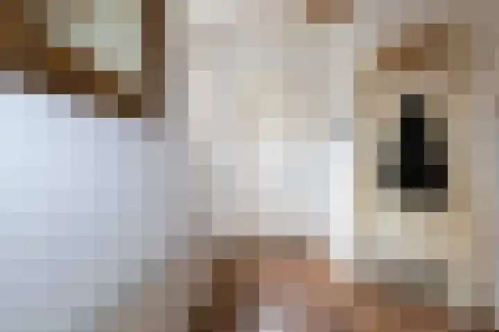 Schoolstraat 17 Beilen thumbnail 4
