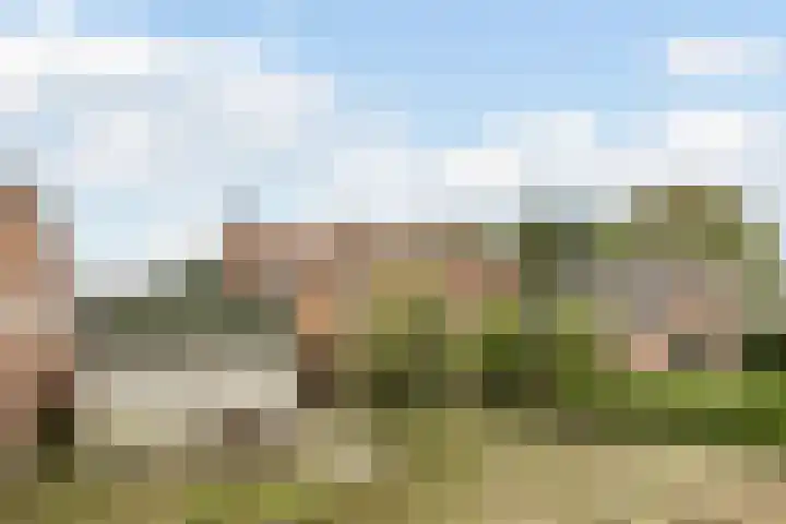 Schoolstraat 17 Molenschot thumbnail 19