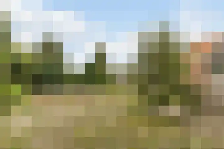 Schoolstraat 17 Molenschot thumbnail 5