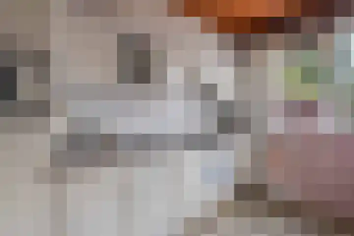 Schoolstraat 17 Peize thumbnail 12