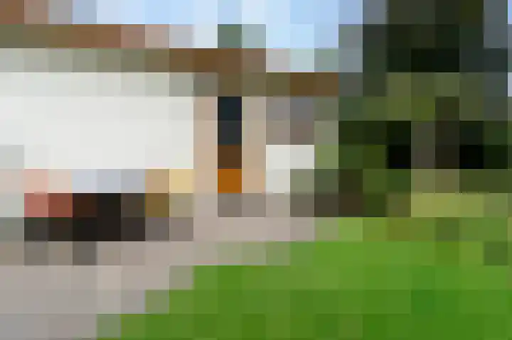 Schoolstraat 17 Peize thumbnail 18