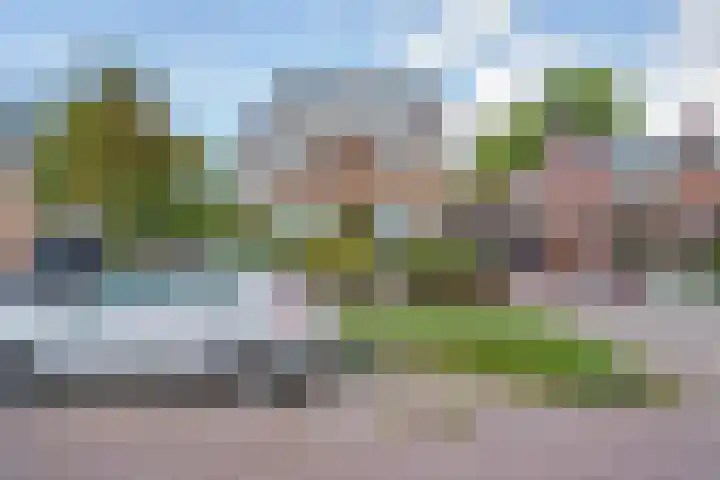 Schoolstraat 17 Peize foto 2