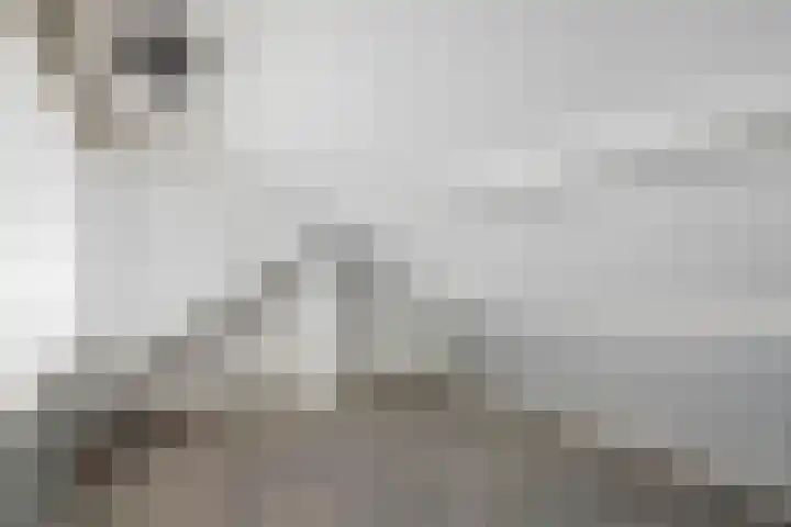 Schoolstraat 17 Peize thumbnail 34