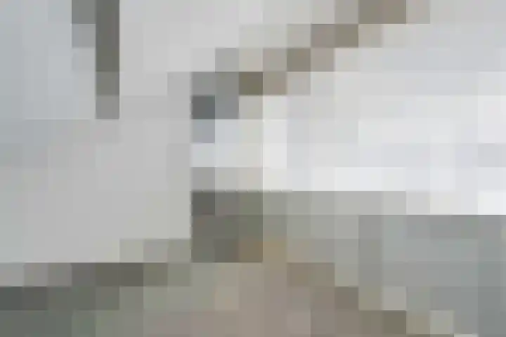 Schoolstraat 17 Peize thumbnail 35