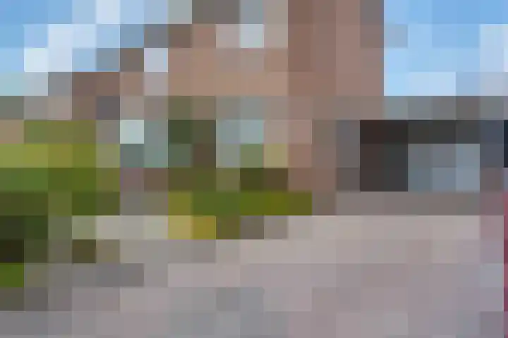 Schoolstraat 17 Peize thumbnail 4