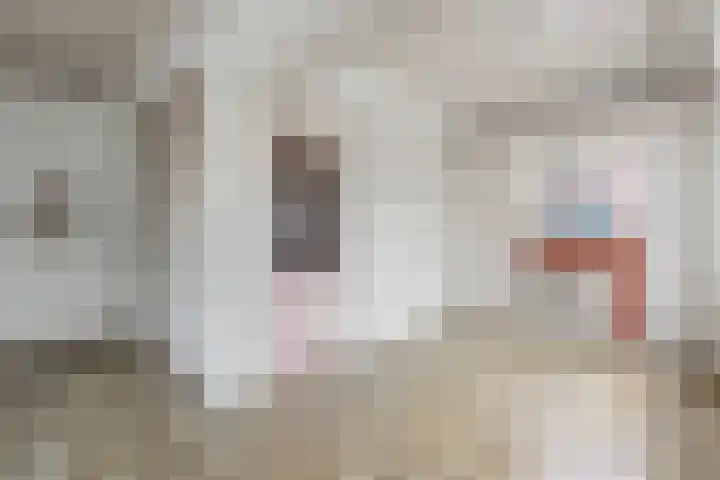 Schoolstraat 17 Peize thumbnail 8