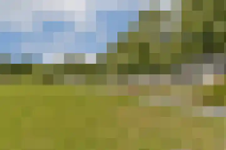 Schoolstraat 19 Den Ilp thumbnail 16