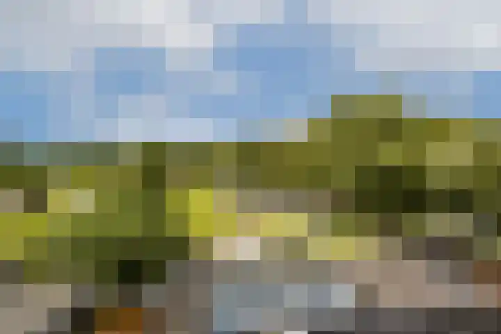Schoolstraat 19 Den Ilp thumbnail 39