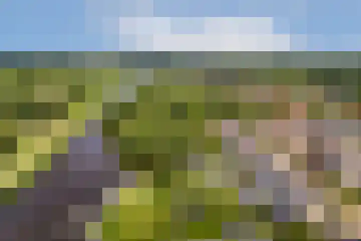 Schoolstraat 19 Den Ilp thumbnail 45
