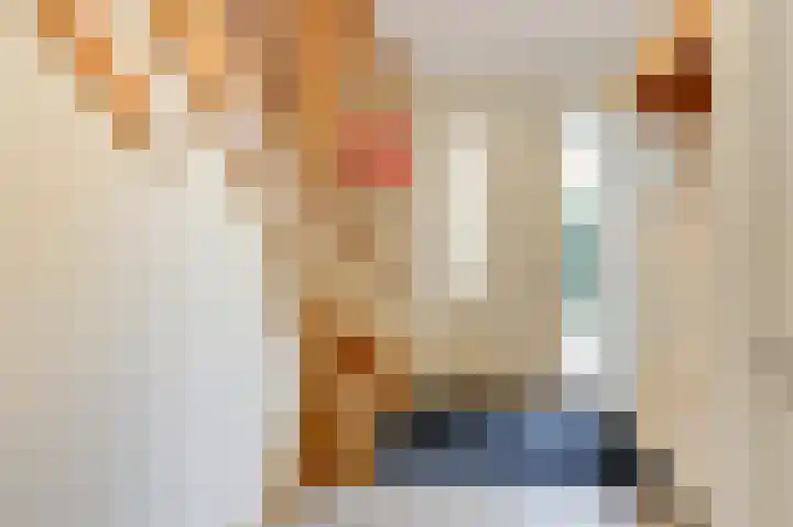 Schoolstraat 19 Didam thumbnail 14