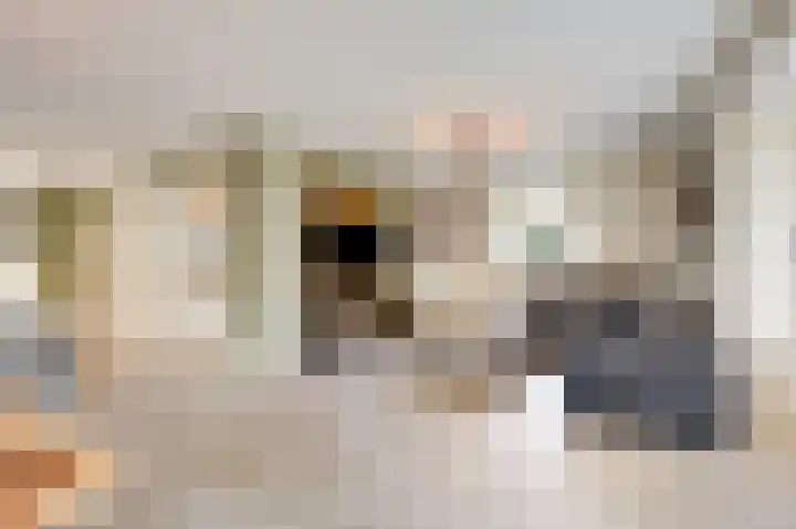 Schoolstraat 19 Didam thumbnail 21