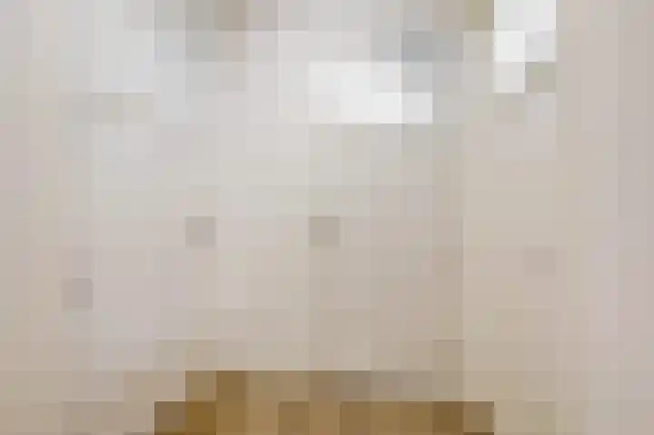 Schoolstraat 19 Didam thumbnail 32