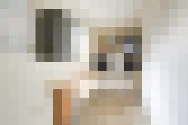 Schoolstraat 19 Didam thumbnail 34