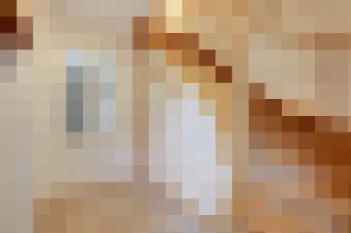 Schoolstraat 19 Didam thumbnail 38
