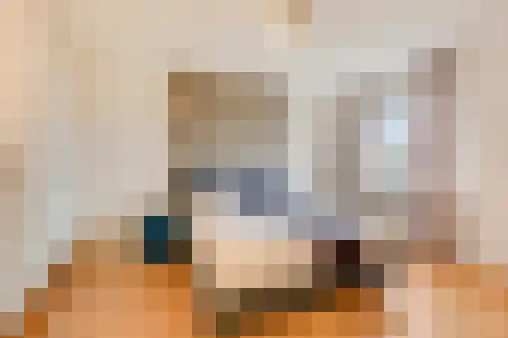 Schoolstraat 19 Didam thumbnail 42