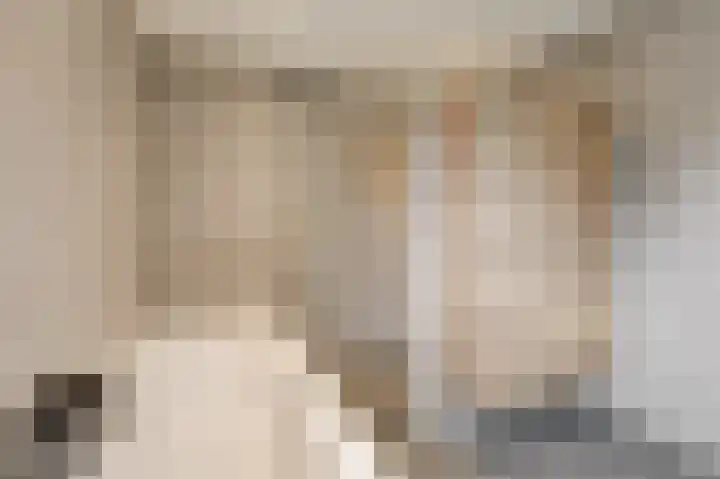Schoolstraat 19 Didam thumbnail 52