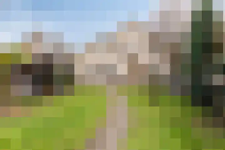 Schoolstraat 19 Didam thumbnail 68