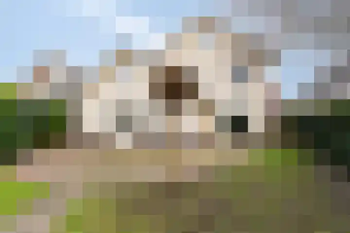 Schoolstraat 19 Didam thumbnail 69