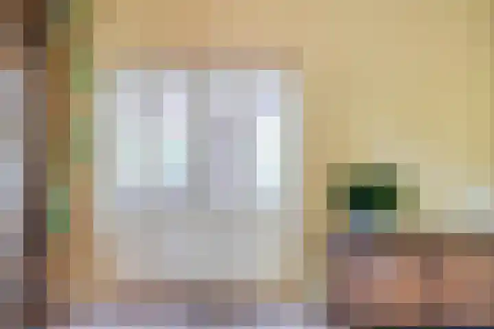 Schoolstraat 2 Swolgen thumbnail 14