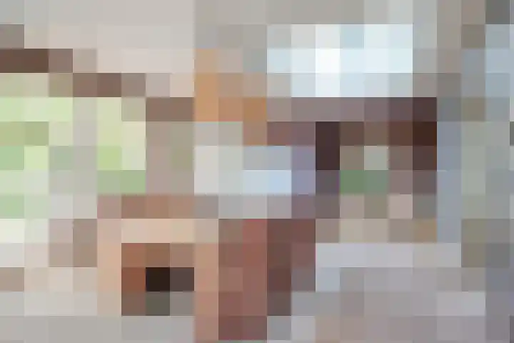 Schoolstraat 2 Swolgen thumbnail 18
