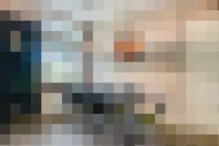 Schoolstraat 2 Swolgen thumbnail 25