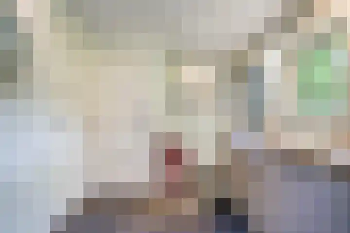 Schoolstraat 2 Swolgen thumbnail 35