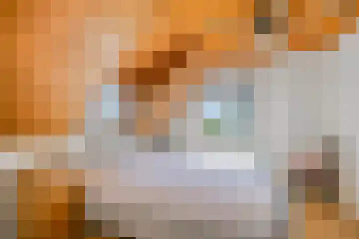 Schoolstraat 2 Swolgen thumbnail 42