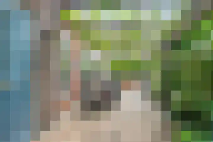 Schoolstraat 2 Swolgen thumbnail 51