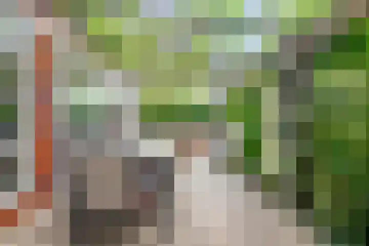 Schoolstraat 2 Swolgen thumbnail 52