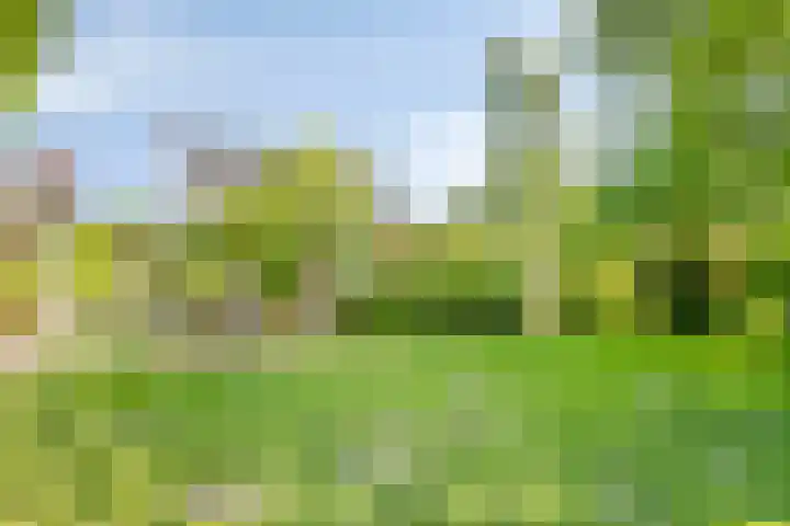 Schoolstraat 2 Swolgen thumbnail 56