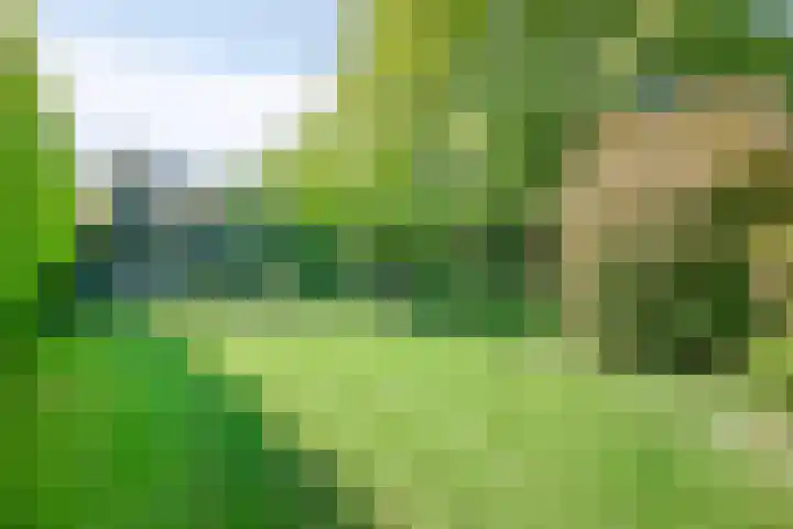 Schoolstraat 2 Swolgen thumbnail 59
