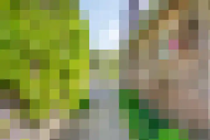 Schoolstraat 2 Swolgen thumbnail 60