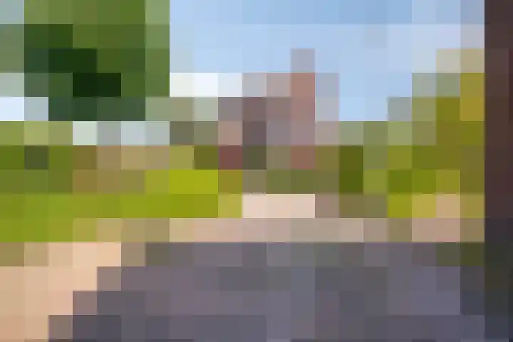 Schoolstraat 2 Swolgen thumbnail 61