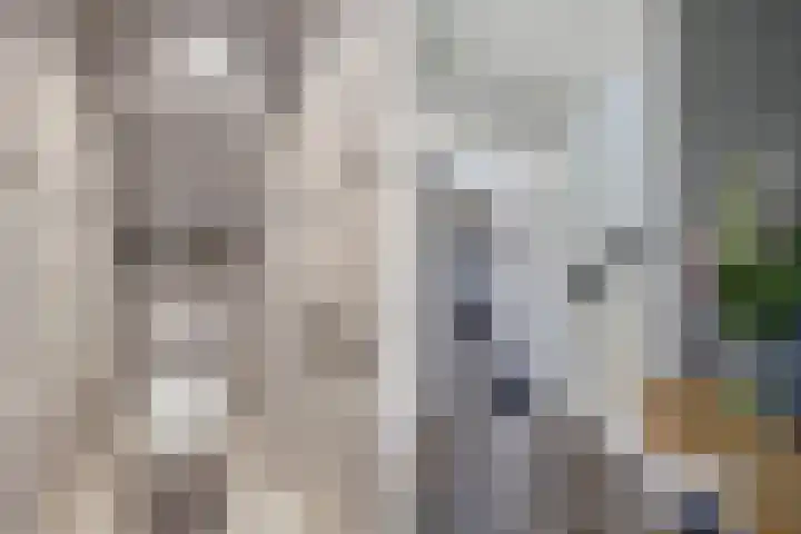 Schoolstraat 20 Ens thumbnail 15