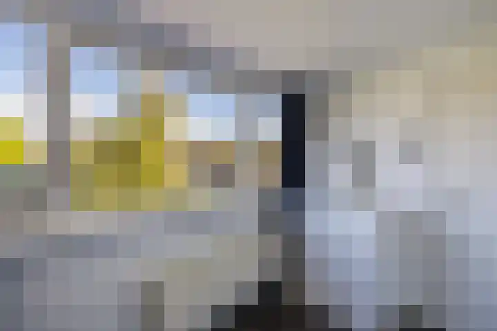 Schoolstraat 20 Ens thumbnail 49